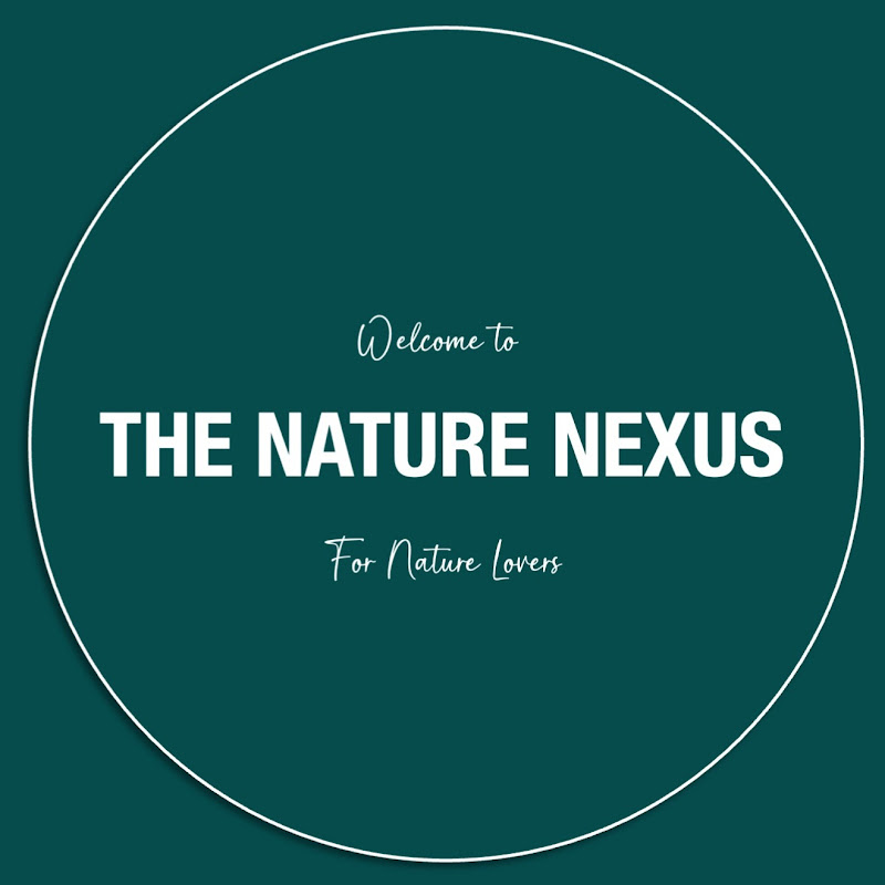 The Nature Nexus