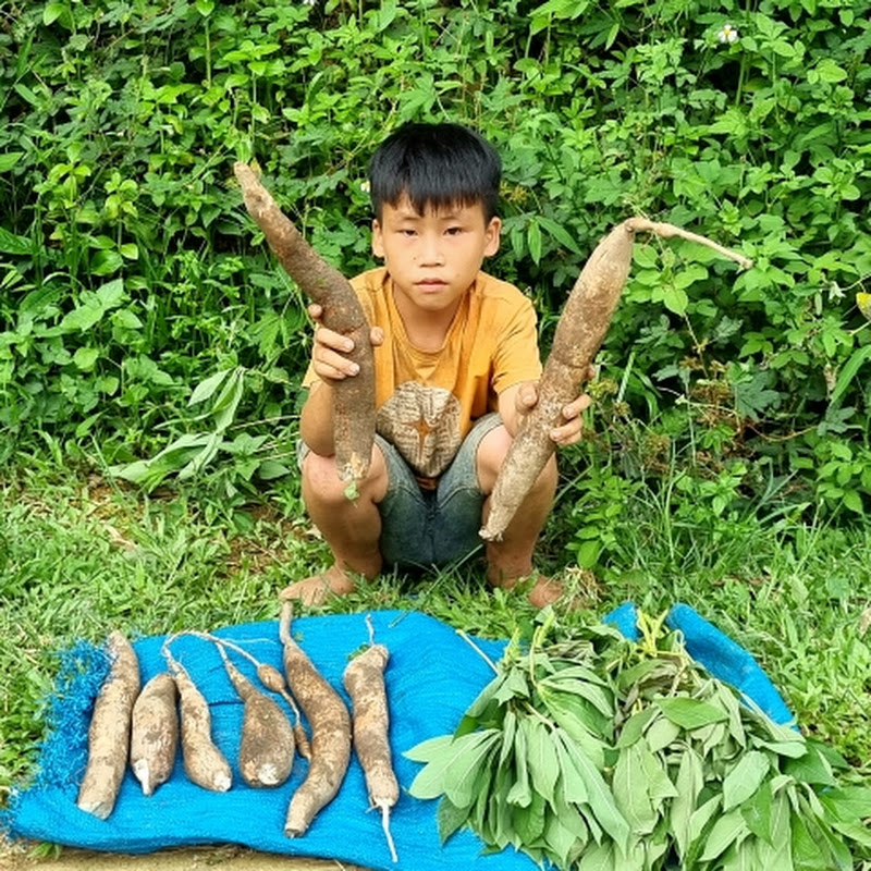 boy orphaned parents