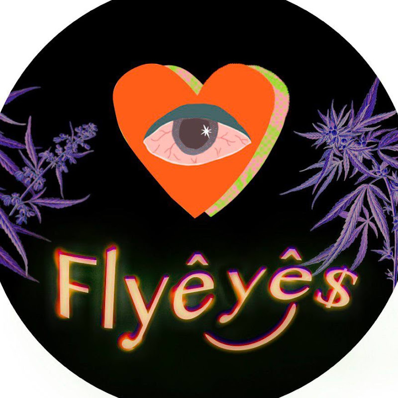 飛眼Flyeyes
