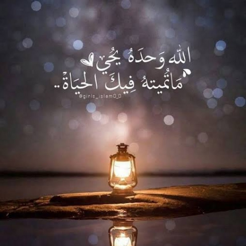 نور الهدى