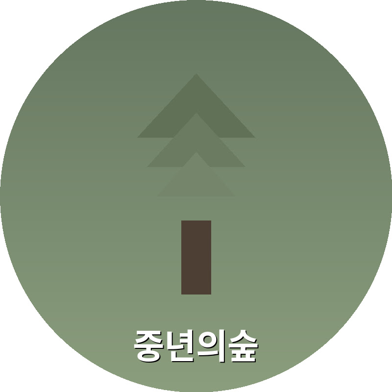 중년의숲