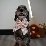 LUNA MILLZ