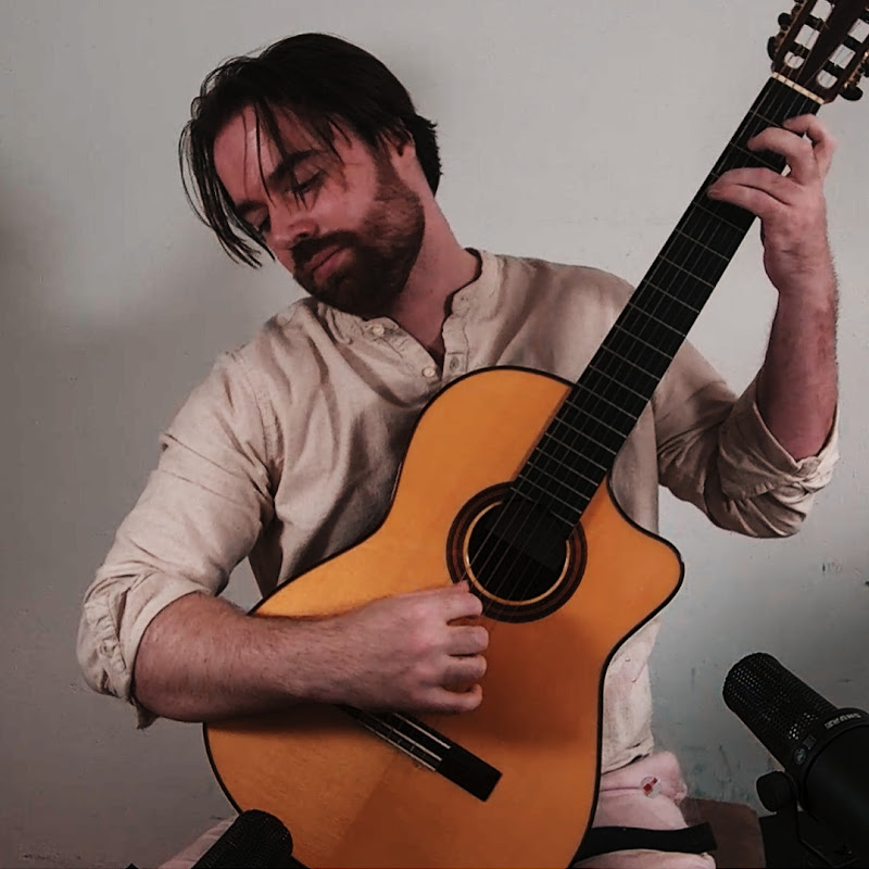 Steven Borm Guitar