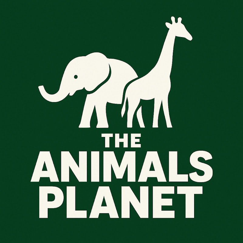 Animals Planets