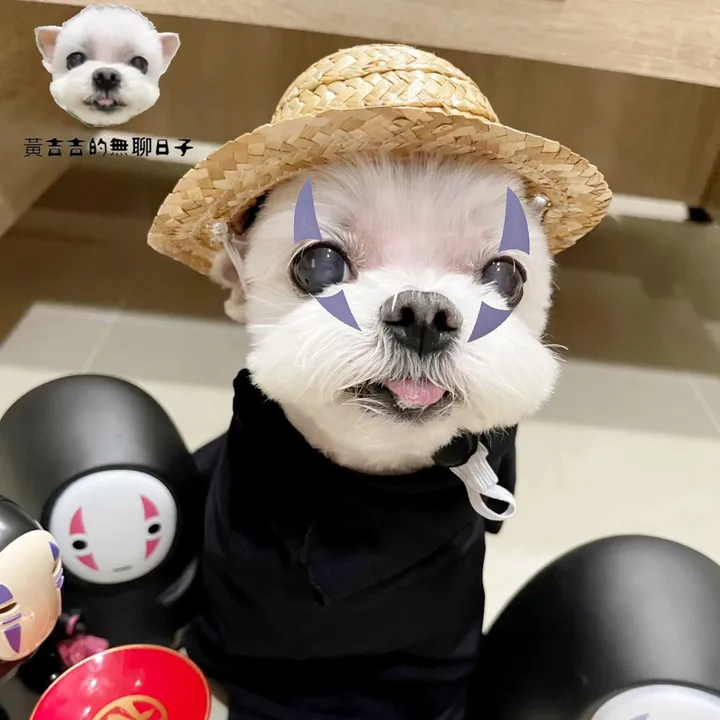 黃吉吉的無聊日子