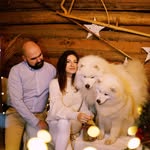 Aston & Kitty & Kot • Petfluencer • UGC Creator