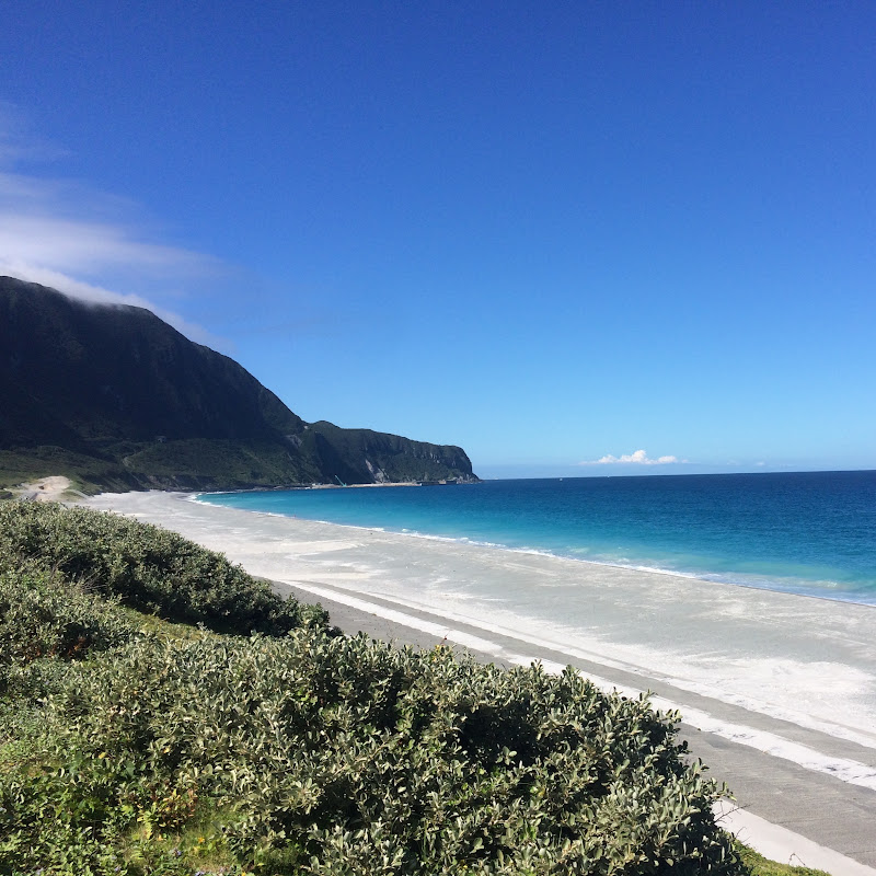 風に吹かれて旅してみたら… 