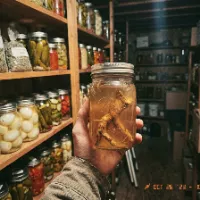 American Lost Survival