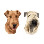 Nicola Wilson - Arlo & Rhea