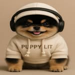 포메분양 포메라니안분양 Pomeranian ⠀ ⠀  | 퍼피리트(PUPPY LIT) • 일산강아지분양