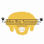 Golden Boy Accessories