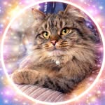ℂ𝕆𝔹𝕐🐱🤎