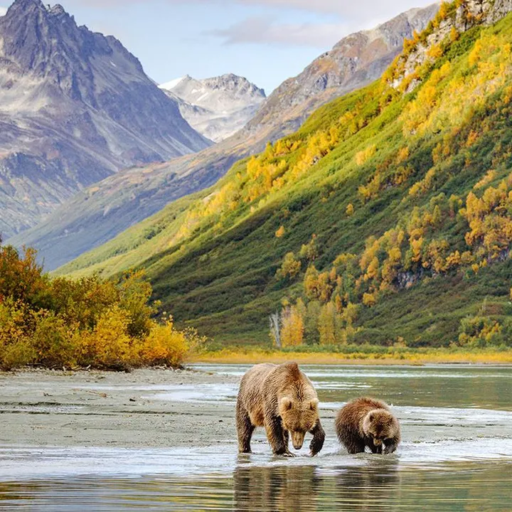 beauty.nature.alaska