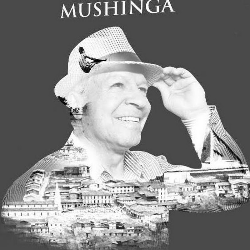 Mushinga Channel