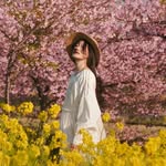 Arisa | Kyoto & Japan Travel