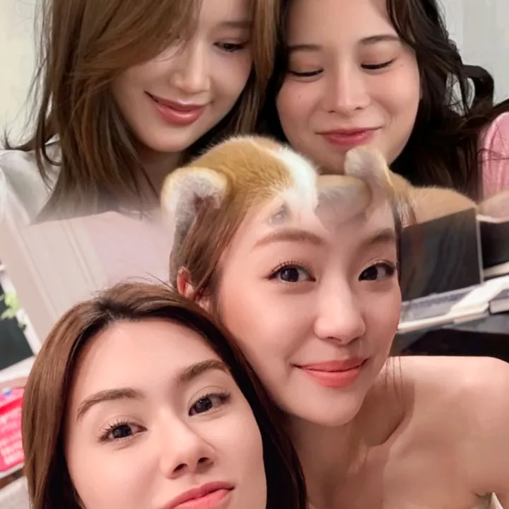 🐶😺Morning Skies🧸🦋