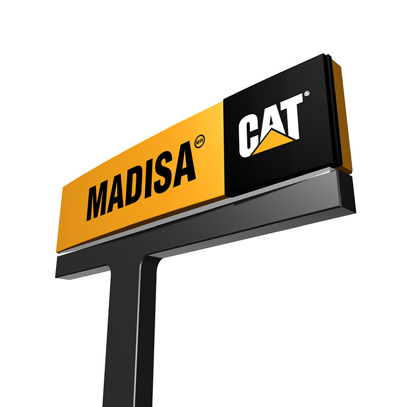 MADISA CAT