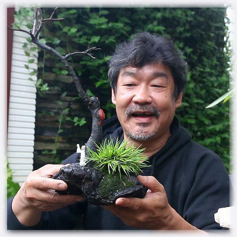 老楼说