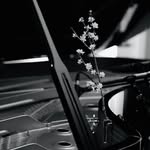 류이치사카모토소셜프로젝트코리아