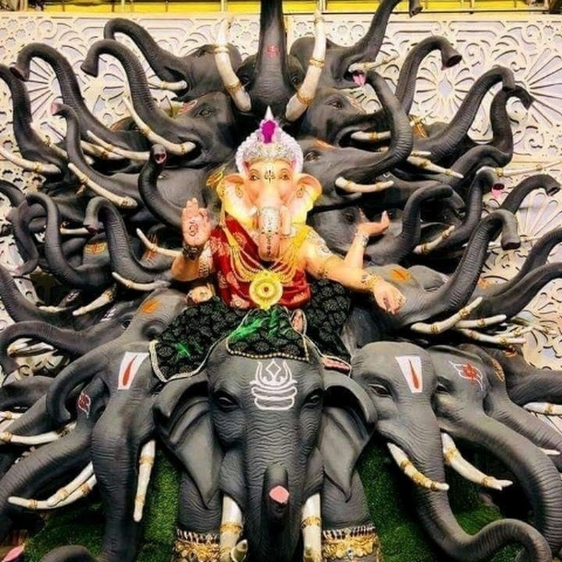 Chinmaya Gartia Dhirpur, odisha