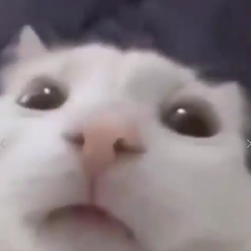 Gompachiro