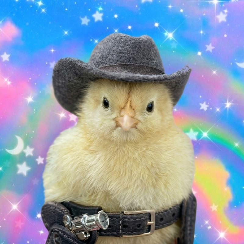 ♂ Bishr Xt 🐔