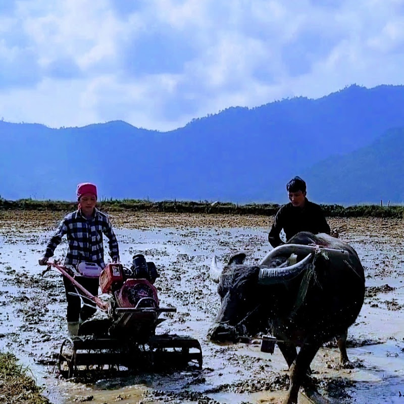 A Lử Mountain life