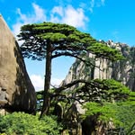 黄山Mount Huang