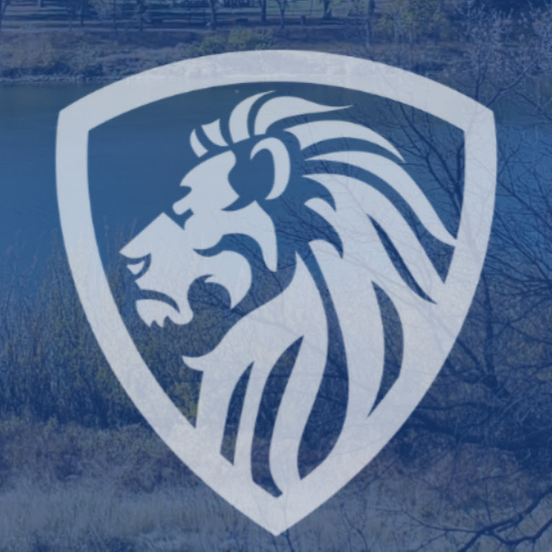 Magnaltus Consulting