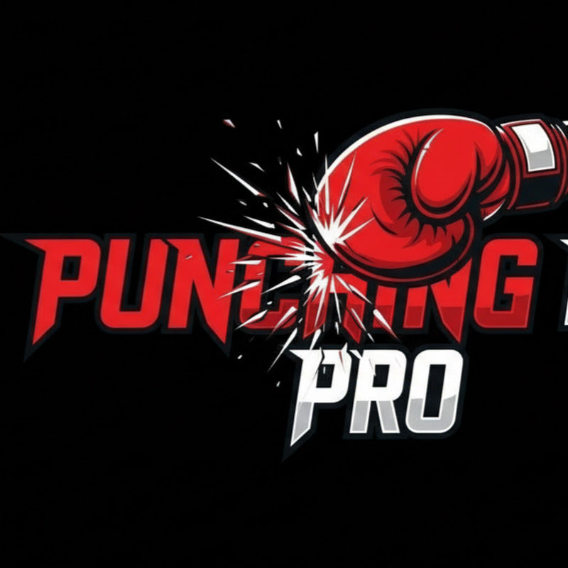 Punching PRO