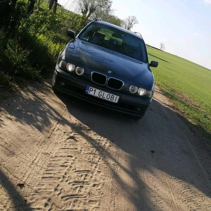 Globi 97