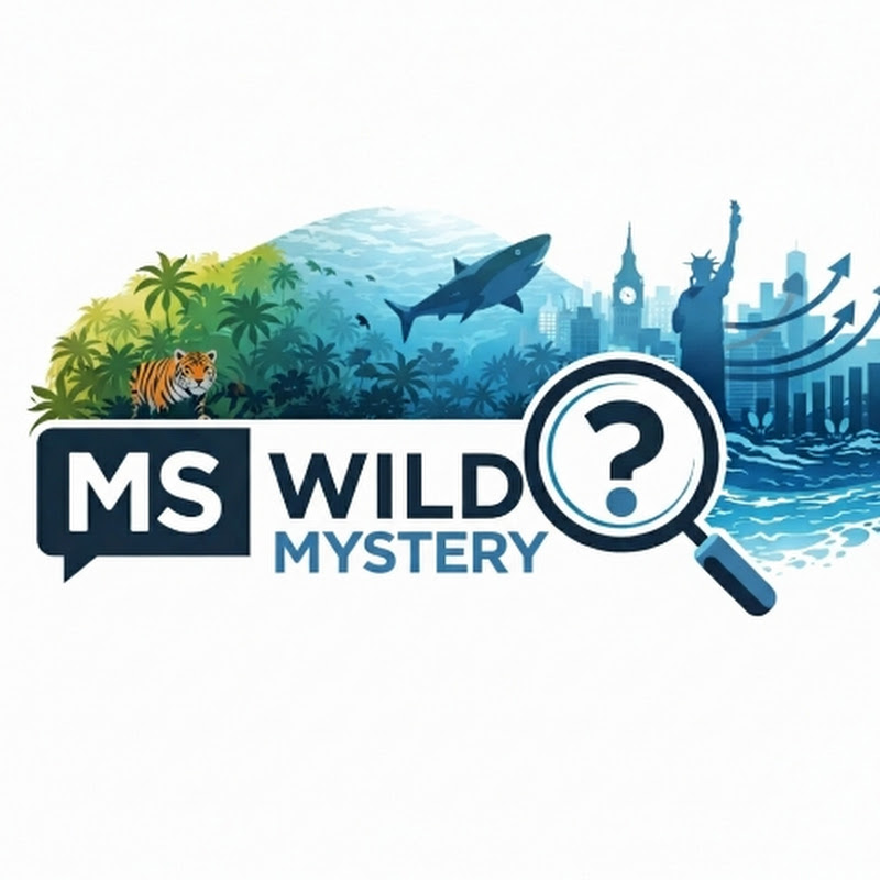 MS Wild Mystery