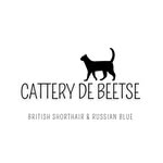 Cattery de Beetse