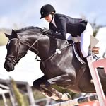 Lucky7 Stables