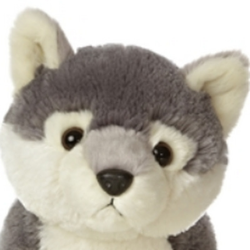 Youtube Kids Videos