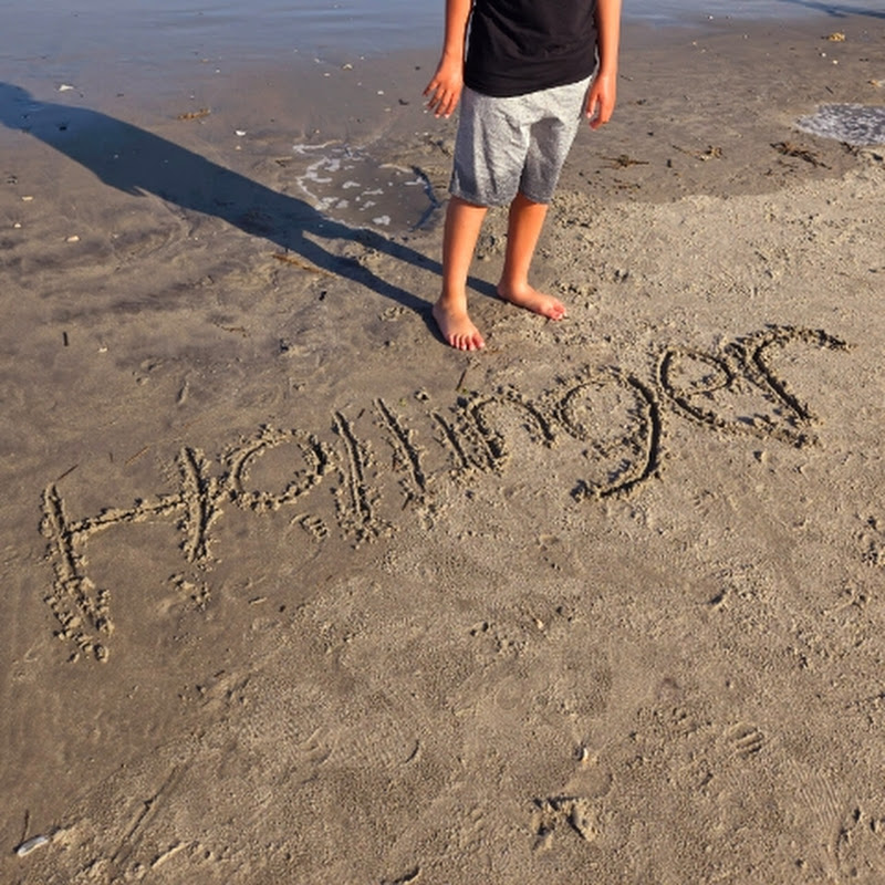 Hollinger Adventures