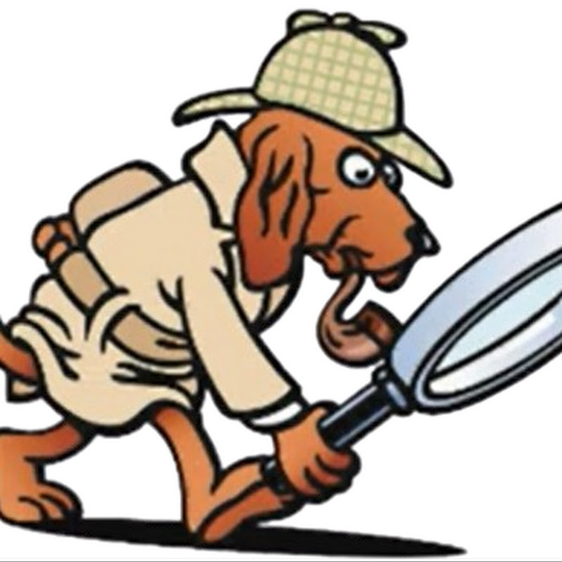 WatchDog Group USA