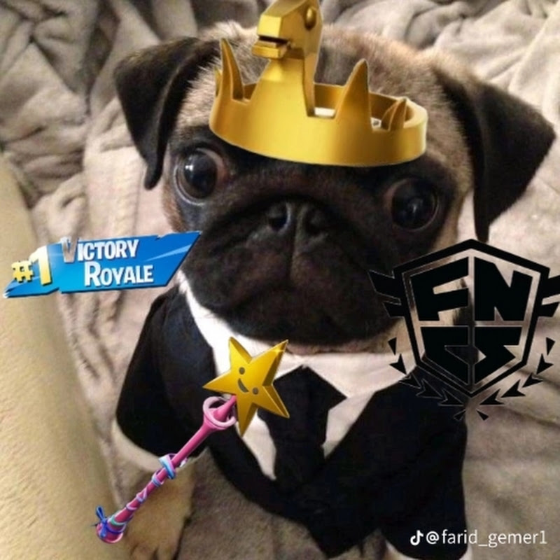 Ricky en el mundo