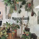 Mossarium Terrarium Malaysia