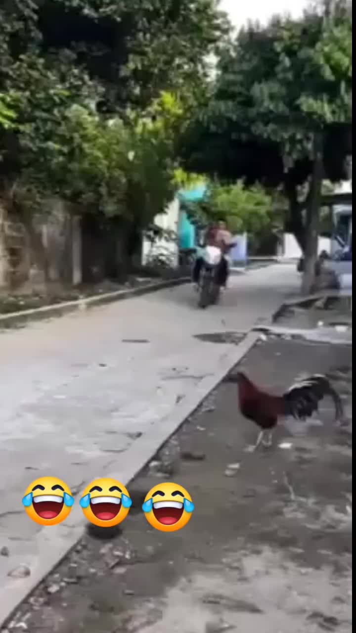 funny 🤣