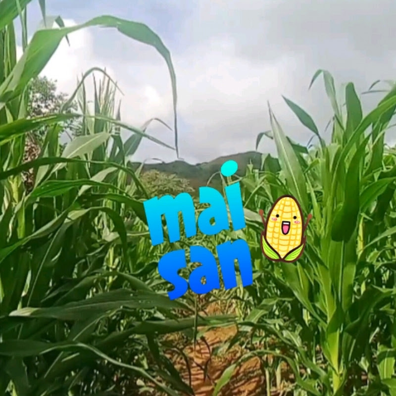 Maisan ni Insoy atbp.