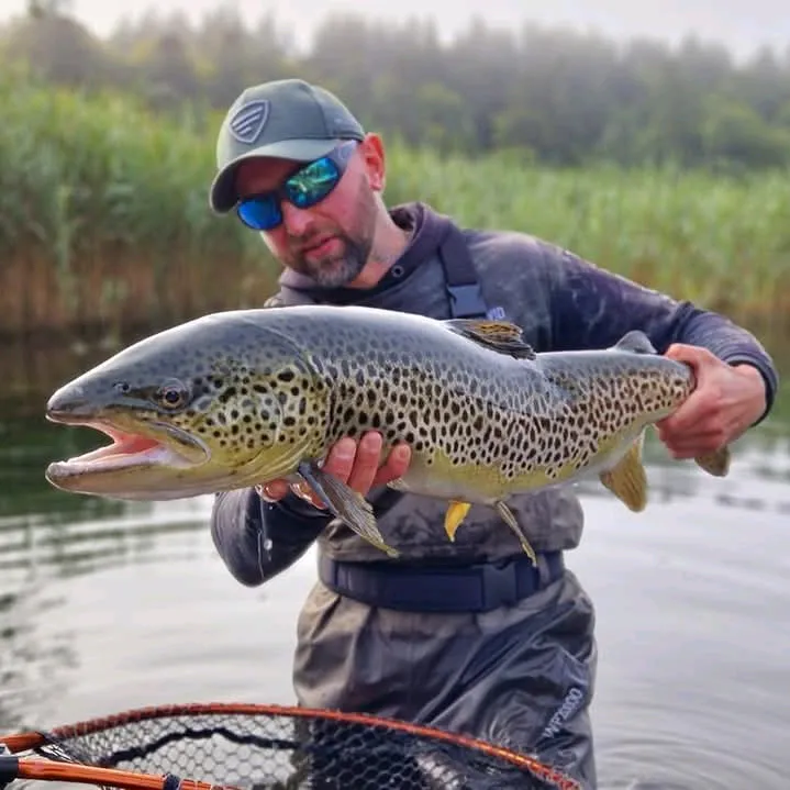 Dawid K Fishing