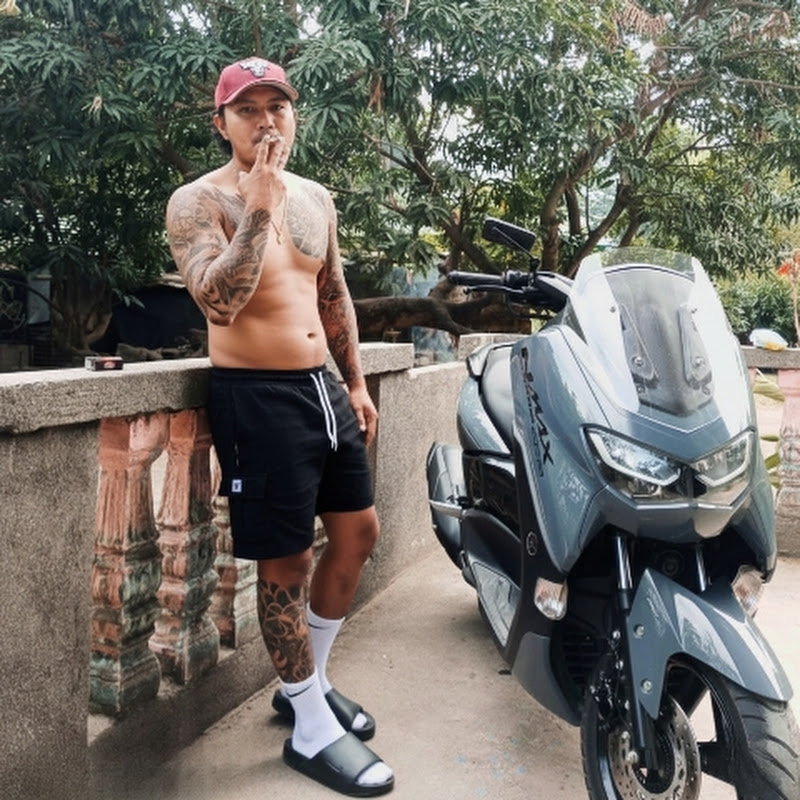 Zorro the Explorer Official