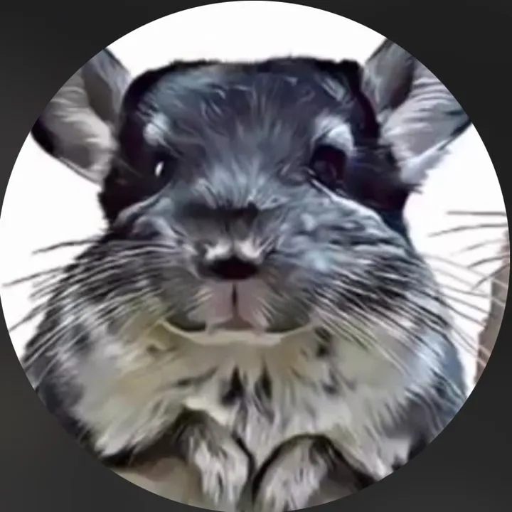 ChinchillaSpeedy