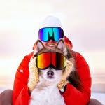 Cecilia Blomdahl ✘ Svalbard