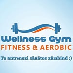 Wellness Gym Bucuresti