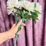 Sundas | UGC | Content Creator