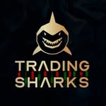 Trading Sharks | Inversión 🚀 y libertad financiera