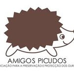 Associação Amigos Picudos
