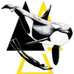 Valhalla Orca Expedition
